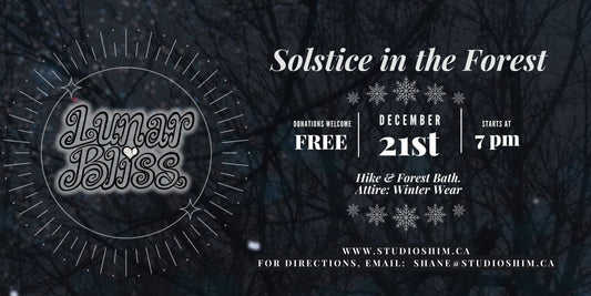 Winter Solstice in the Forest: A Humble Artist's Perspective on CommUnity and Connection