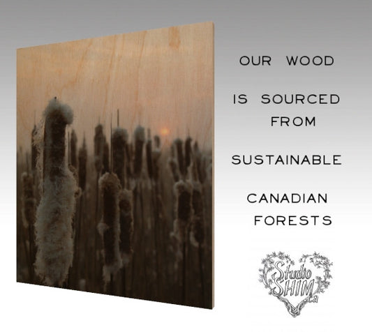 Wood Premium Prints