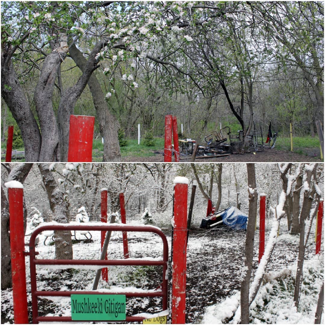 From snow to fire & blossoms...