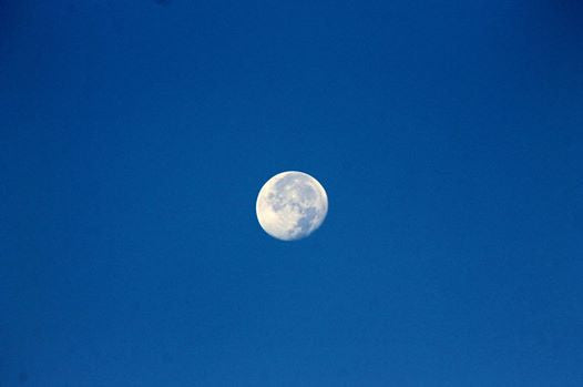 Full Moon Freestyle