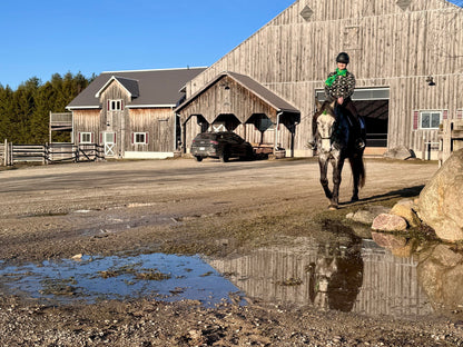 Lunar Bliss: RIVER'S MELODY ~ An Evening of Horse Energy, Healing Sound