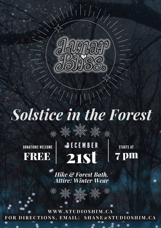 Solstice in the Forest