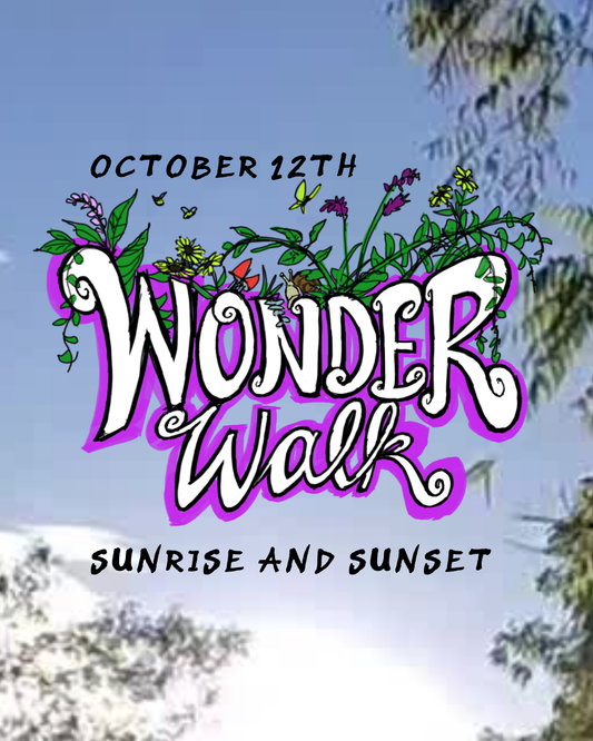 NEW Wonder Walk on October 12th ~ Sunset