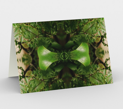 Fractal Art Card Collection: #2